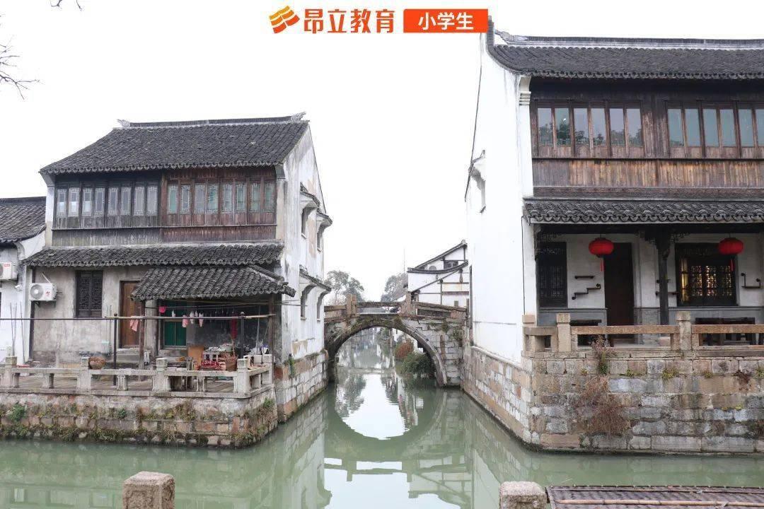 向上跳的香蕉